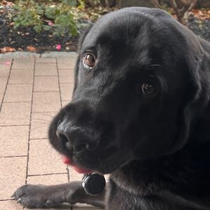 Meet your Posher, Kristen